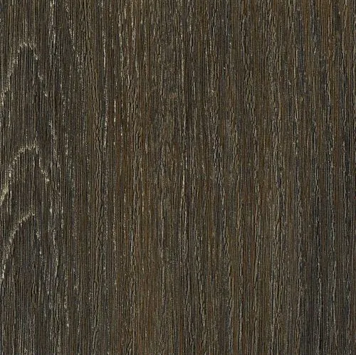 Dąb Brown